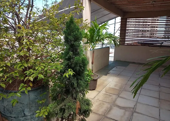 Árvore da Vida Pousada Itaguaí